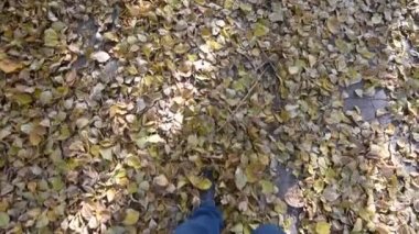 Sarı yapraklı, sonbahar asfaltı üzerinde kot pantolonlu ve gri spor ayakkabılı erkekler. Birinci şahıs görünümü.