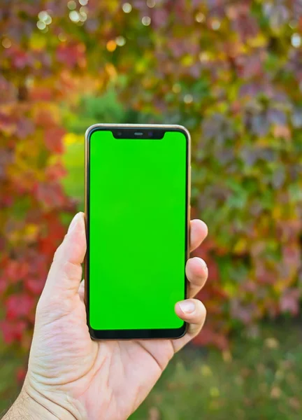 Una mano mans sostiene un teléfono inteligente moderno con una pantalla verde en el fondo de un parque de otoño . — Foto de Stock