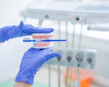 Diş hekimi diş fırçasıyla çenenin düzenini nasıl fırçalayacağını gösterir. Doktorların iş yerinde eldiven takması. Gösteri için diş modeli.