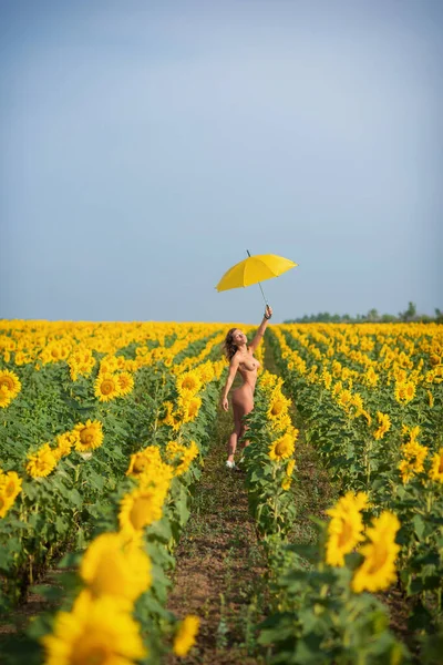 Schöne nackte Frau mit einem gelben Regenschirm in einem Feld von Sonnenblumen. Prachtvolle Figur. Fitness-Bikini. Ein Mädchen mit Silikonbrüsten versteckt sich in der Natur unter einem Sonnenschirm vor der Sonne. — Stockfoto