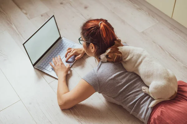 유럽의 한 빨간 머리 여성 이 개와 함께 바닥에 누워 노트북으로 타자를 치고 있습니다. 검역중인 여대생 이 집에서 원격으로 공부하고 있어. 충실 한 강아지 잭 러셀 테리어. 준비하라. — 스톡 사진