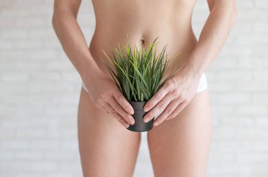 Beyaz külotlu bir kadın, arka planda hafif tuğlalar olan çalılı bir saksıyı tutuyor. Bikini bölgesi tüy dökme konsepti. İstenmeyen kıl salgını.