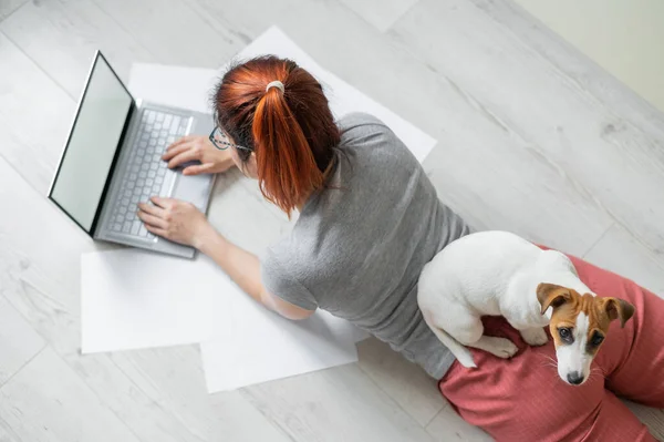 Une femme rousse européenne est allongée par terre avec son chien et tape sur un ordinateur portable. Étudiante étudiant à distance à la maison en quarantaine. Un fidèle chiot Jack Russell Terrier. Préparation à l'examen . — Photo