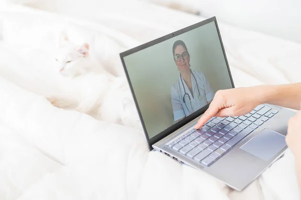Безлика жінка п'є антипіретик і дивиться відео з рекомендації лікаря. Онлайн-консультація лікаря на веб-камеру, не виходячи з дому. Кіт лежить у ліжку з хворим господарем . — стокове фото