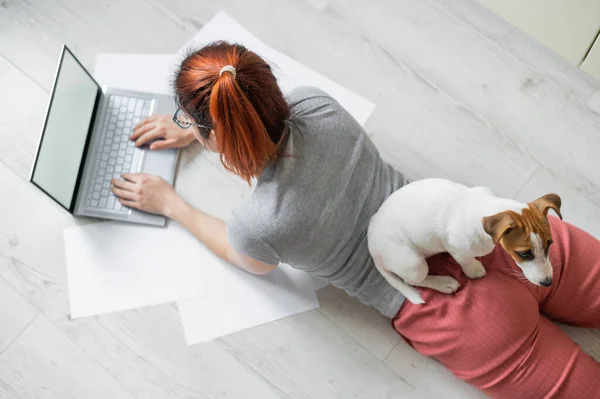 백인빨간 머리의 한 여성 이 작은 개와 함께 바닥에 누워 노트북으로 타자를 치고 있다. 여성 프리랜서가 격리 구역에서 일하고 있습니다. 충성 스러운 강아지 잭 러셀 테리어. — 스톡 사진