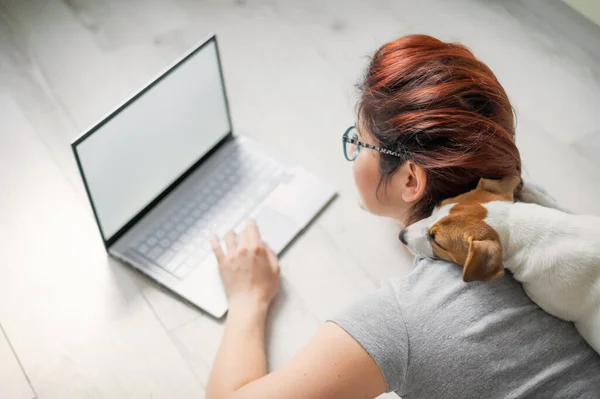 빨간 머리 여자가 개 랑 바닥에 누워 있어요. 소녀는 사교적 인 거리를 유지하고 집에서 노트북으로 일한다. 여학생 이 숙제를 하고 있습니다. 코로나 바이러스의 확산. — 스톡 사진