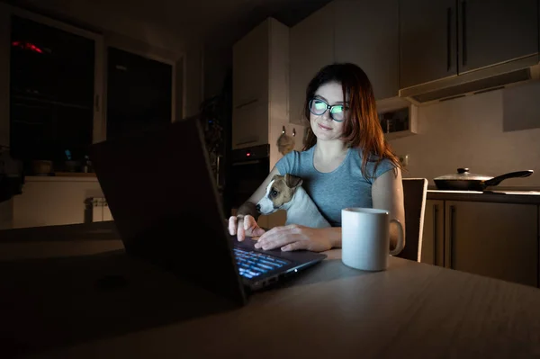 Une femme souriante à lunettes est assise à un ordinateur sans fil dans la cuisine avec un chiot de Jack Russell Terrier à genoux. Étudiante la nuit étudier pour l'examen et boire du café . — Photo