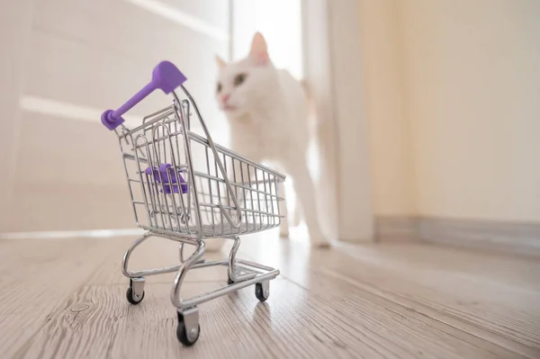 An empty mini shopping trolley stands at the open door. White fluffy cat in the doorway. Concept of online shopping with home delivery.