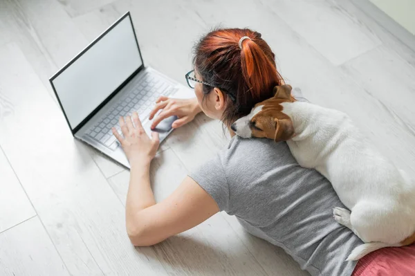 유럽의 한 빨간 머리 여성 이 개와 함께 바닥에 누워 노트북으로 타자를 치고 있습니다. 검역중인 여대생 이 집에서 원격으로 공부하고 있어. 충실 한 강아지 잭 러셀 테리어. 준비하라. — 스톡 사진