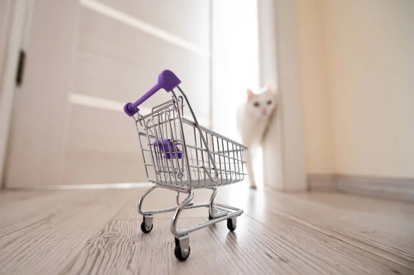 An empty mini shopping trolley stands at the open door. White fluffy cat in the doorway. Concept of online shopping with home delivery.