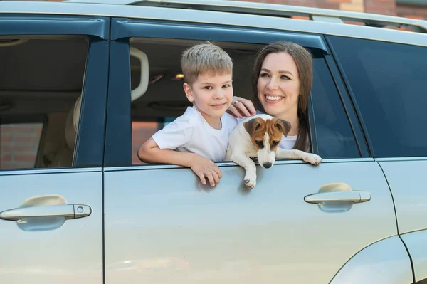 Güzel beyaz kadın yanında bir çocuk ve bir köpekle seyahat ediyor. Anne ve oğlu, Jack Russell Terrier 'ın köpeğiyle kucaklaşarak arabanın camından dışarı sarkmışlar. Mutlu aile araba yolculuğuna çıkıyor.. — Stok fotoğraf