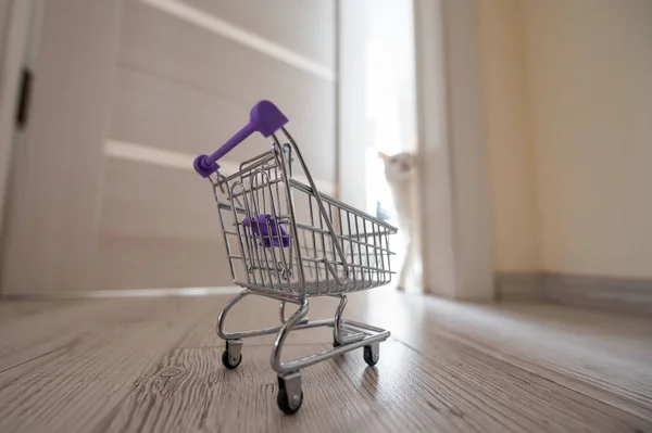 Um mini carrinho de compras vazio fica na porta aberta. Gato fofo branco na entrada. Conceito de compras on-line com entrega em domicílio . — Fotografia de Stock