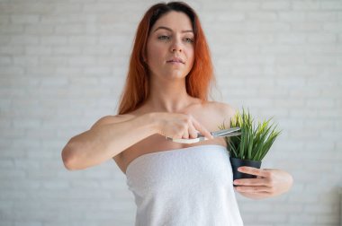 Yakın plan. Kırpılmış. Bir kadın saksıdaki bir bitkiyi makasla kesiyor. Vücuttaki istenmeyen saç bitkisinin çıkarılmasını taklit ediyor. Koltuk altı bölgesinde deplasyon. Tüyleri alındıktan sonra pürüzsüz cilt.