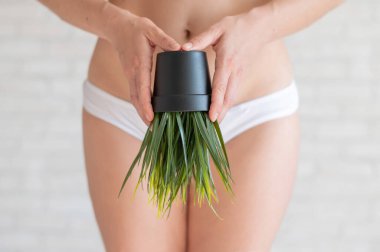 Bikini bölgesi tüy dökücü. Brezilyalı lazer bikini çizgisi saç kesimi reklamı. Beyaz iç çamaşırlı bir kadın saksı çiçeği tutuyor. Samimi bölgede bitki örtüsü salgını.