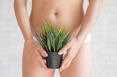 Bikini bölgesi tüy dökücü. Brezilyalı lazer bikini çizgisi saç kesimi reklamı. Beyaz iç çamaşırlı bir kadın saksı çiçeği tutuyor. Samimi bölgede bitki örtüsü salgını.
