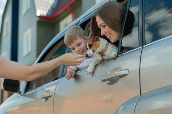 Schöne kaukasische Frau reist mit Kind und Hund. Mutter und Sohn lehnten sich aus dem Autofenster und umarmten einen Welpen von Jack Russell Terrier. Glückliche Familie geht auf Autofahrt. — Stockfoto