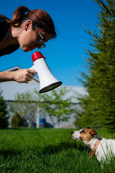 Una donna urla contro un cane bugiardo attraverso un megafono. La ragazza tira fuori un cucciolo Jack Russell Terrier e giura con un altoparlante nel parco. Allenatore canino femmina animale domestico all'aperto . — Foto Stock