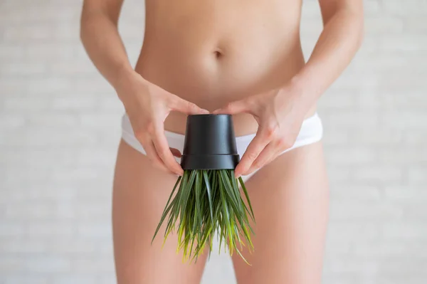 Depilación del área del bikini. Publicidad depilación de línea de bikini láser brasileño. Una mujer en ropa interior blanca sostiene una planta en maceta. Epilación de vegetación en la zona íntima . — Foto de Stock