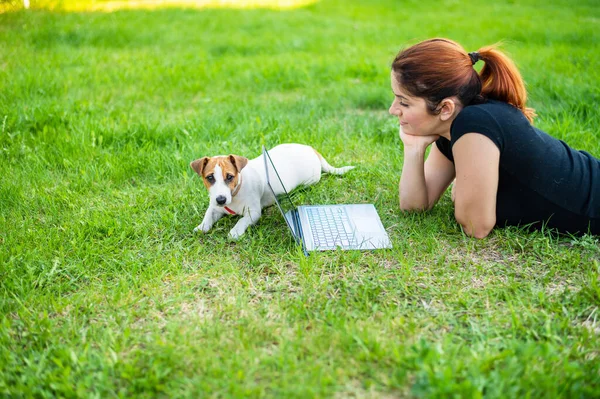 Rudowłosa kobieta leży na zielonej trawie w parku ze szczeniakiem. Dziewczyna utrzymuje dystans społeczny i ogląda film na świeżym powietrzu na laptopie. Student uczy się zdalnie na komputerze.. — Zdjęcie stockowe