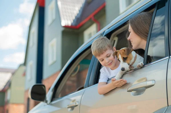 Güzel beyaz kadın yanında bir çocuk ve bir köpekle seyahat ediyor. Anne ve oğlu, Jack Russell Terrier 'ın köpeğiyle kucaklaşarak arabanın camından dışarı sarkmışlar. Mutlu aile araba yolculuğuna çıkıyor.. — Stok fotoğraf