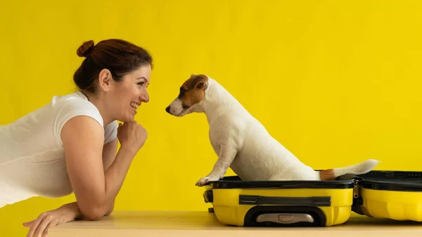 Il cane è seduto in una valigia accanto a una donna ridente su uno sfondo giallo. La ragazza sta facendo un viaggio con un animale domestico. Amore tra proprietario e cucciolo. — Foto Stock