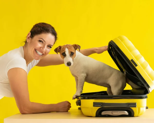 해피 우먼은 노란 배경에 개를 안에 넣은 가방을 들고 있다. 잭 러셀 테리어 강아지가 여행 가방에 앉아 있다. 웃는 소녀. — 스톡 사진