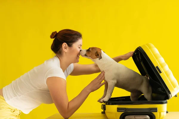 O cão se senta em uma mala e lambe o rosto de uma mulher rindo em um fundo amarelo. O conceito de viajar com um animal de estimação. Amor entre dono e cachorro . — Fotografia de Stock