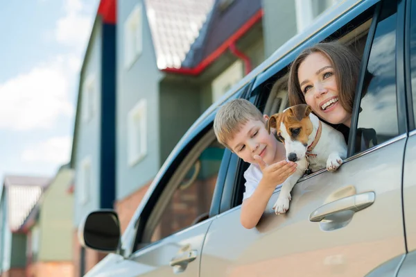 Schöne kaukasische Frau reist mit Kind und Hund. Mutter und Sohn lehnten sich aus dem Autofenster und umarmten einen Welpen von Jack Russell Terrier. Glückliche Familie geht auf Autofahrt. — Stockfoto