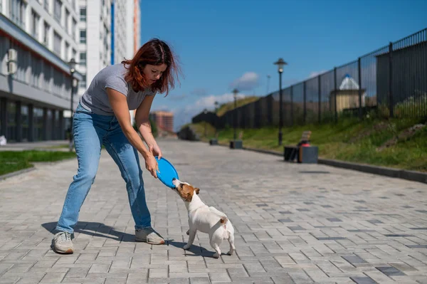 Μια γυναίκα πετάει μπλε ιπτάμενο πλαστικό δίσκο στον Τζακ Ράσελ Τεριέ έξω. Αστεία παιχνιδιάρικο μικρό σκυλί πιάνει και φέρνει παιχνίδι στο θηλυκό ιδιοκτήτη. — Φωτογραφία Αρχείου