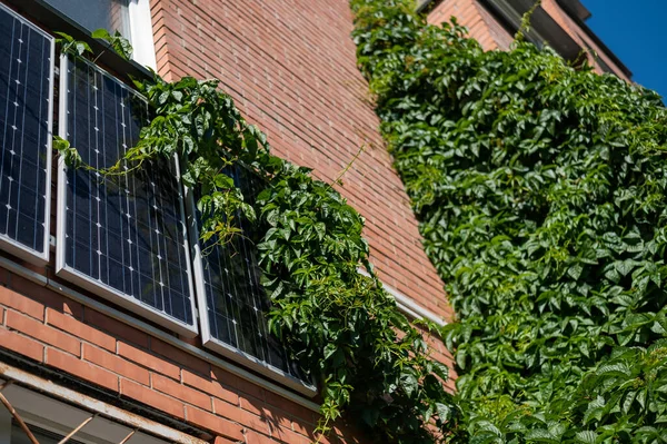 Gros plan de panneaux solaires sur un mur de briques rouges. Une autre source d'énergie. Prendre soin de l'environnement. — Photo