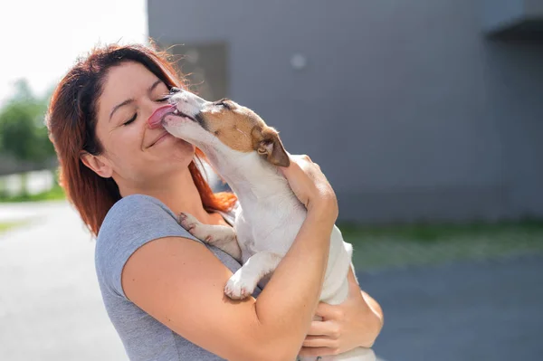 Glad rödhårig kvinna kramar sin lilla hund för en promenad utomhus. Jack Russell Terrier slickar ansiktet på den kvinnliga ägaren. — Stockfoto