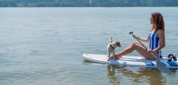 Uma mulher está a montar uma prancha de surf com um cão no lago. A menina vai para esportes aquáticos com seu animal de estimação . — Fotografia de Stock