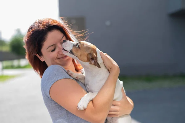 Szczęśliwa rudowłosa kobieta przytula swojego pieska na spacer na świeżym powietrzu. Jack Russell Terrier liże twarz właścicielki. — Zdjęcie stockowe