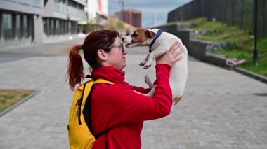 Yavaş çekim komik köpek Jack Russell Terrier sahibinin yüzünü yalıyor.