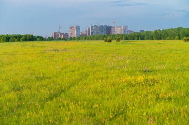Ormanın ortasında çok katlı binaların inşaatı