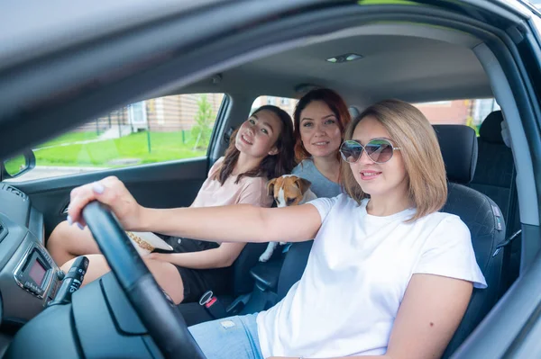 Três amigos estão viajando em um carro com um cachorro — Fotografia de Stock