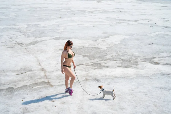 Une femme rousse en bikini se promène avec un chien sur une plage enneigée — Photo