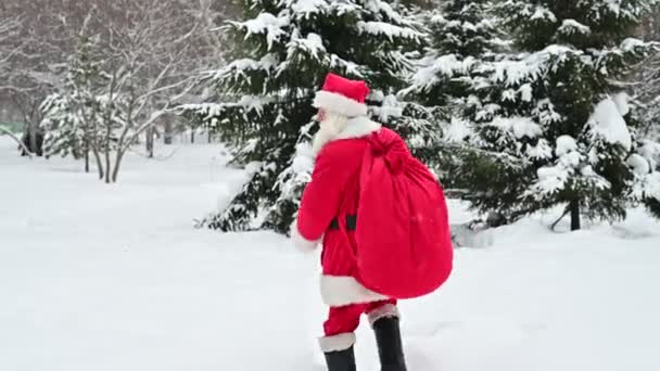 Санта Клаус гуляет по парку и машет рукой, приветствуя — стоковое видео
