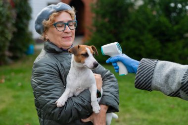 Veteriner, köpeğin sıcaklığını, dışarıda temas olmayan kızılötesi termometreyle ölçer.
