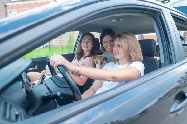 Üç arkadaş bir köpekle arabada seyahat ediyorlar. — Stok fotoğraf