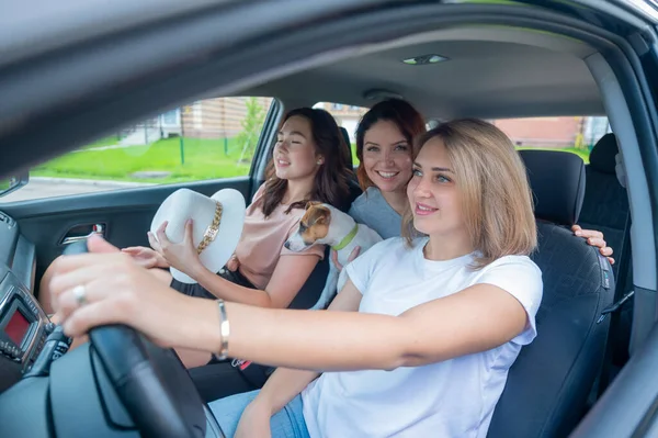 Três amigos estão viajando em um carro com um cachorro — Fotografia de Stock