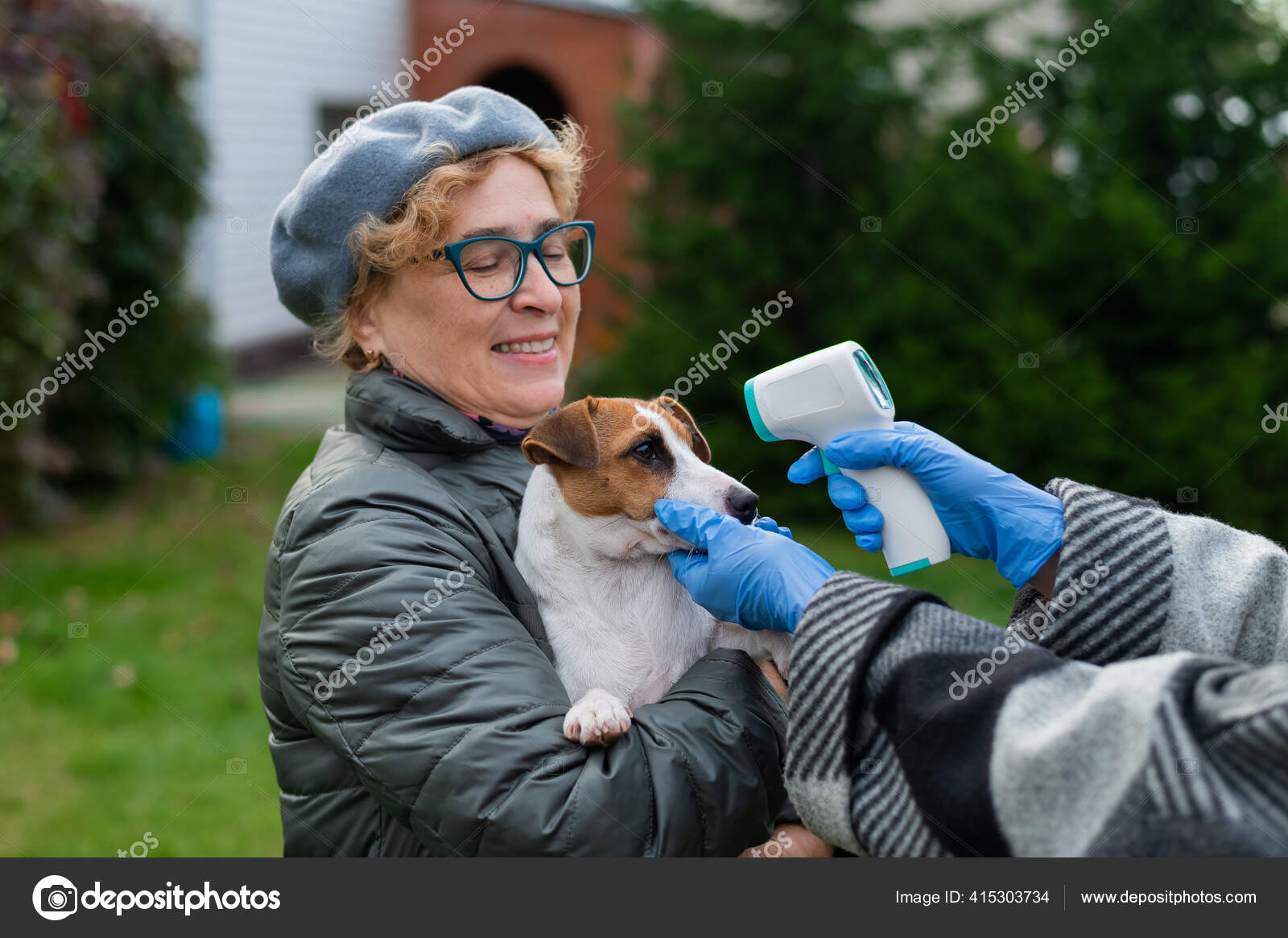 Do Dogs Need A Special Thermometer