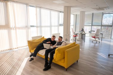 Kanepede otururken laptopta iş tartışan iki beyaz adam. Modern ofis