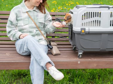 Sahibi Jack Russell Terrier ile birlikte güvenli bir yolculuk için bankta oturuyor.