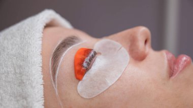 Profesyonelce katlama, kirpik boyama ve kaş boyama süreci.