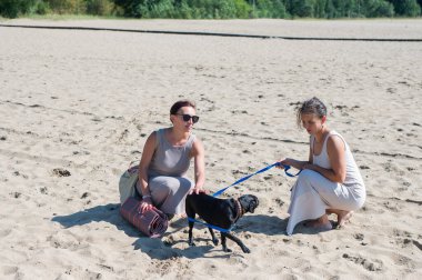 Kumsalda bir köpekle yürüyen iki beyaz kadın.