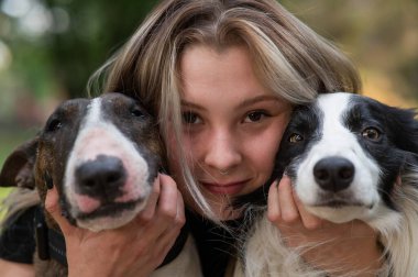  Bu yürek ısıtan görüntü, iki sevimli köpeği yüzüne yakın tutarak bir insanı neşeyle yakalar. İlk köpek bir brindle Bull Terrier. İkinci köpek büyüleyici bir Collie.