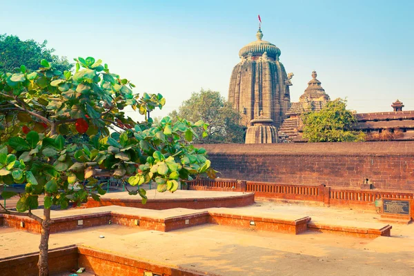 Widok Świątyni Lingaraj Jedna Najstarszych Świątyń Hinduistycznych Poświęcony Śiwy Bhubaneswar — Zdjęcie stockowe