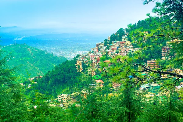 Pohled Dharamshala Kangra Okres Himachal Pradesh Indie — Stock fotografie