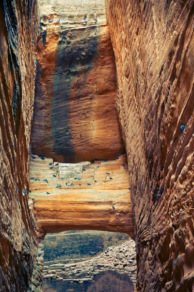 Der Antike Brunnen Adi Kadi Vav Der Festung Oberkot Junagadh — Stockfoto